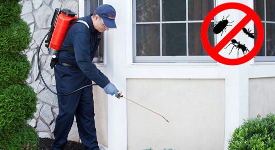 Gülnar Hamam Böceği İlaçlama böcek ilaçlama ve haşere kontrolü — ilaclama-tr.com